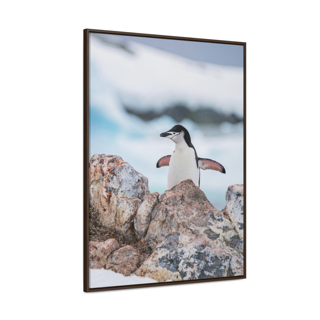 Stretched Penguin - Canvas with Frame