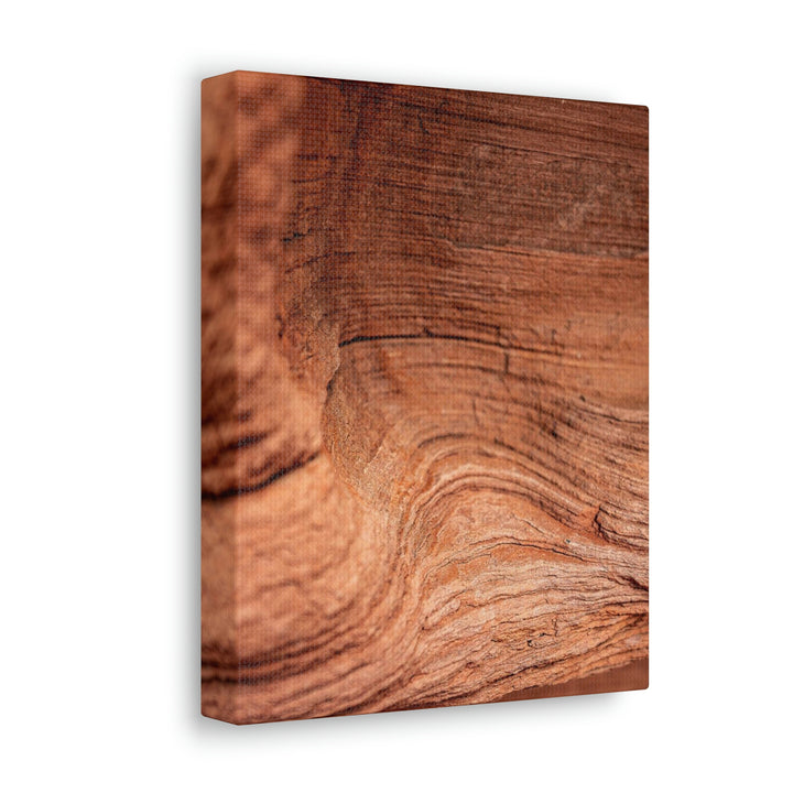 Sedimentary Rock Curves - Canvas