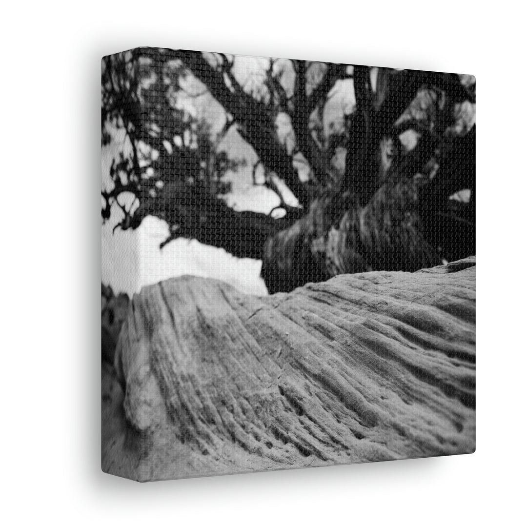 Desert Reach in Black and White - Canvas