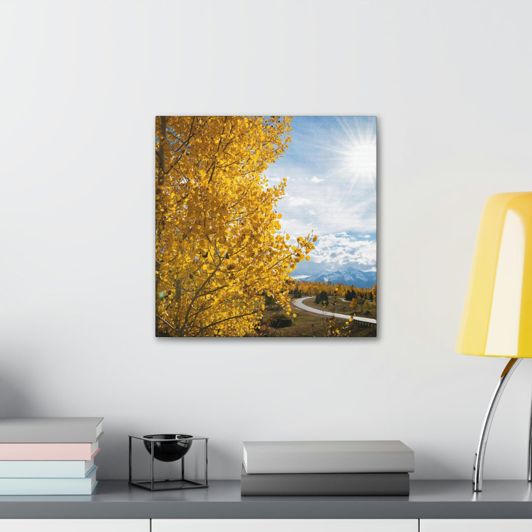 Golden Sunshine - Canvas