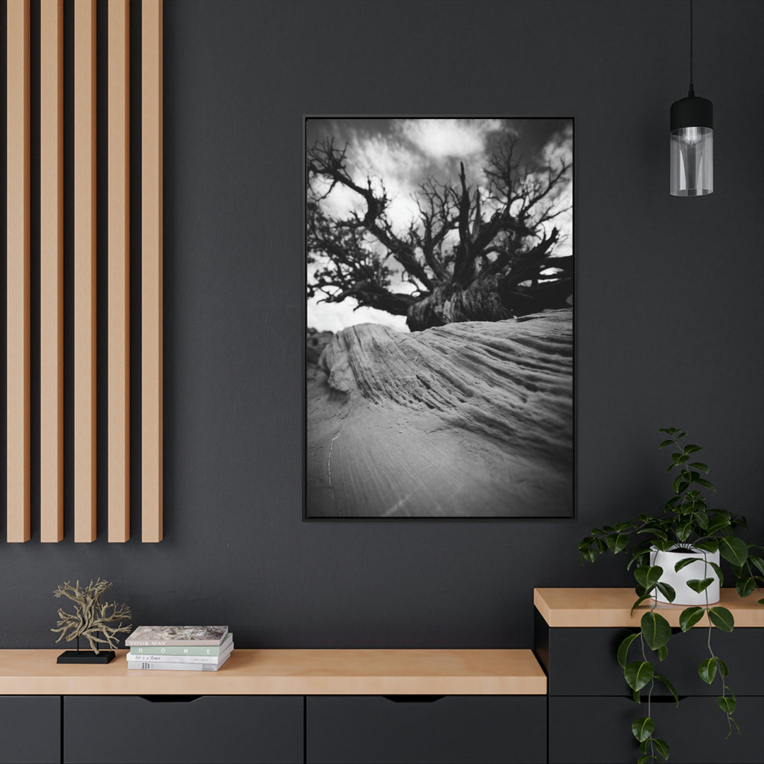 Desert Reach in Black and White - Canvas with Frame