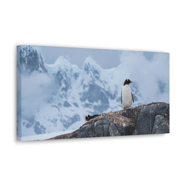 Poised Penguin - Canvas