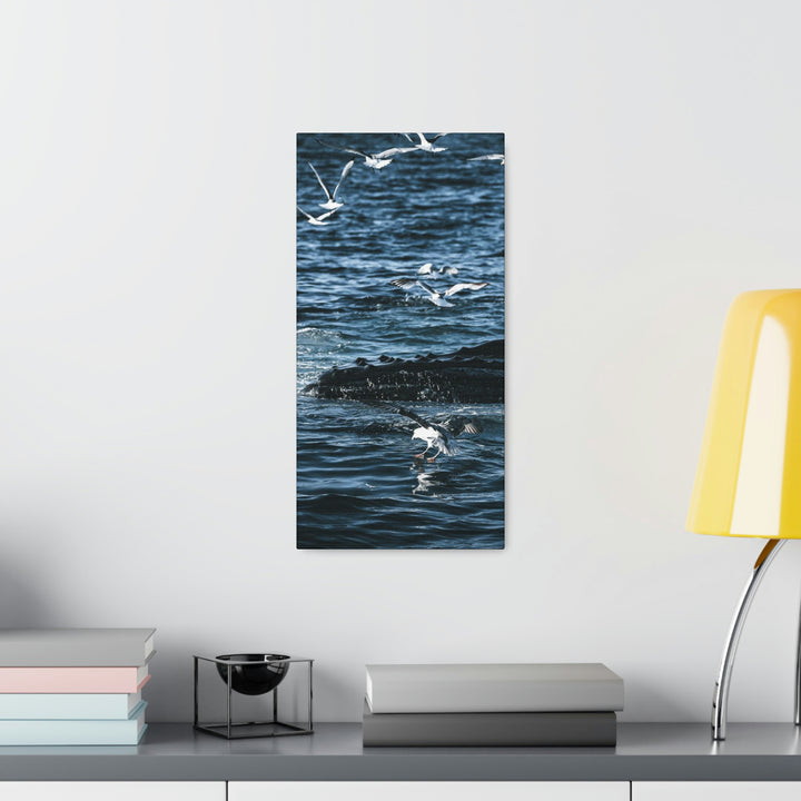 Humpback Hello - Canvas