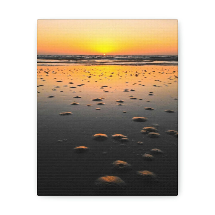 Burrows at Sunrise - Canvas