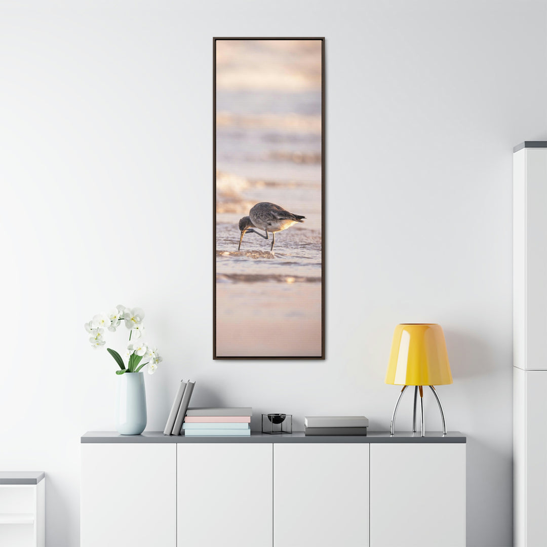 Willet Itch - Canvas with Frame