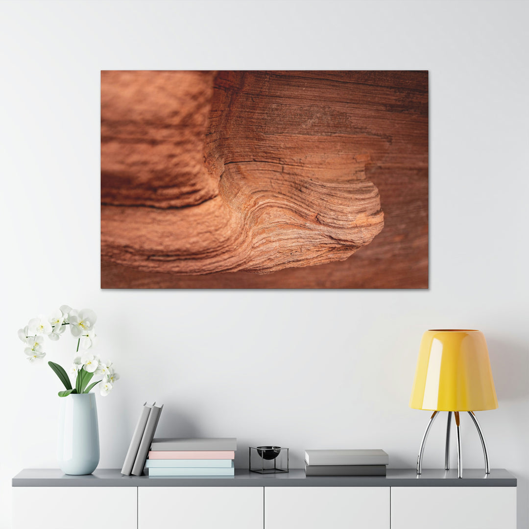 Sedimentary Rock Curves - Canvas