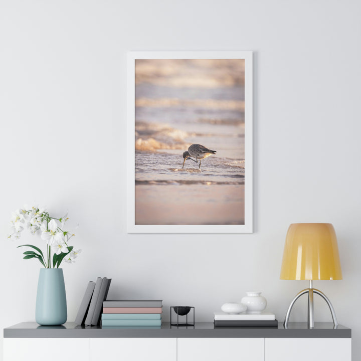 Willet Itch - Framed Print