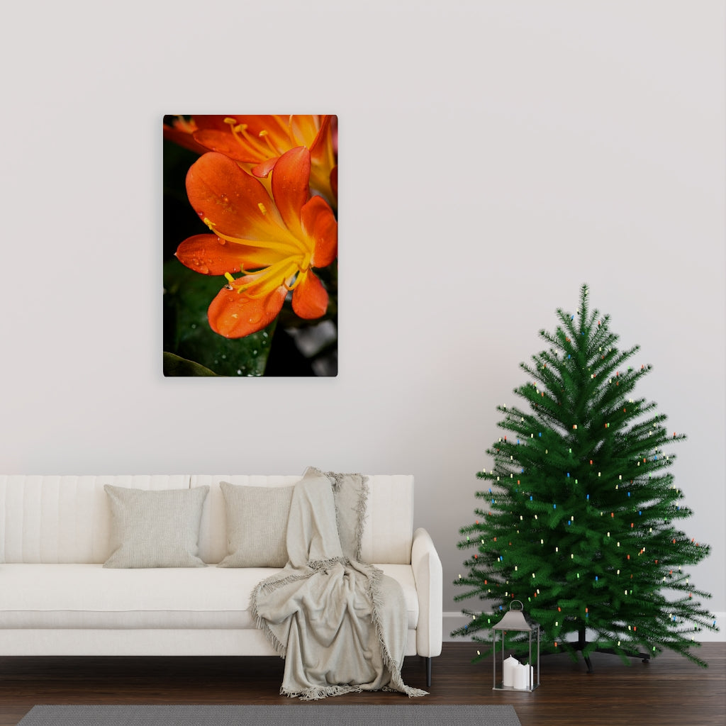 Bright Bush Lily - Canvas