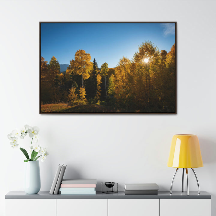 Sun Through the Aspens - Canvas with Frame