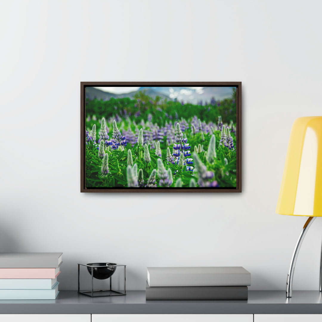 Glowing Lupin with Mountains - Canvas with Frame