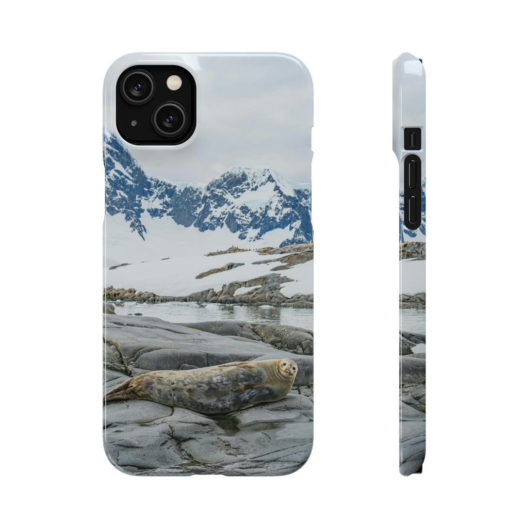 Weddell Relaxing - Phone Case