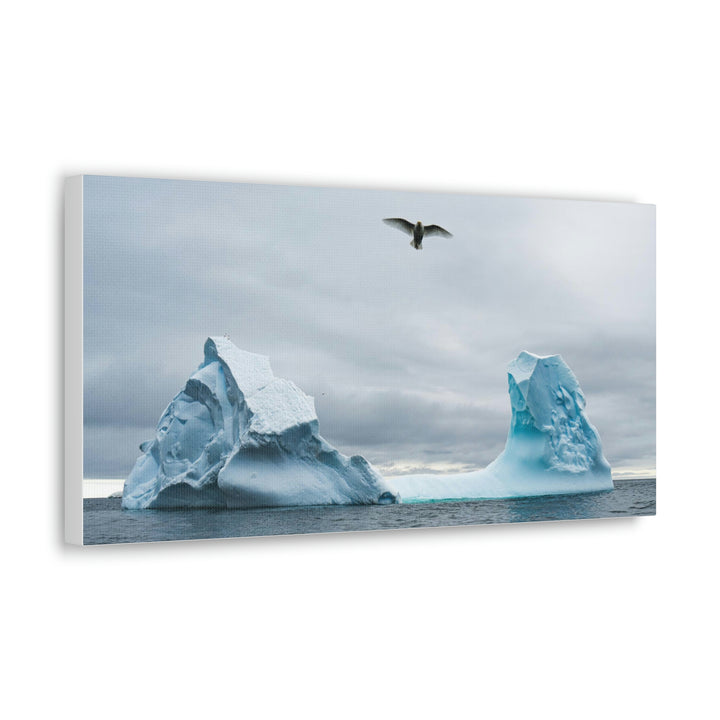 Antarctic Flight - Canvas