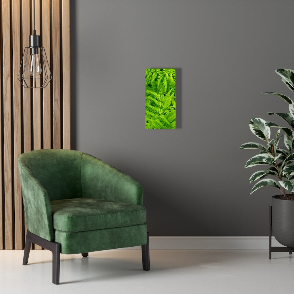 Ferns, Ferns, Ferns - Canvas