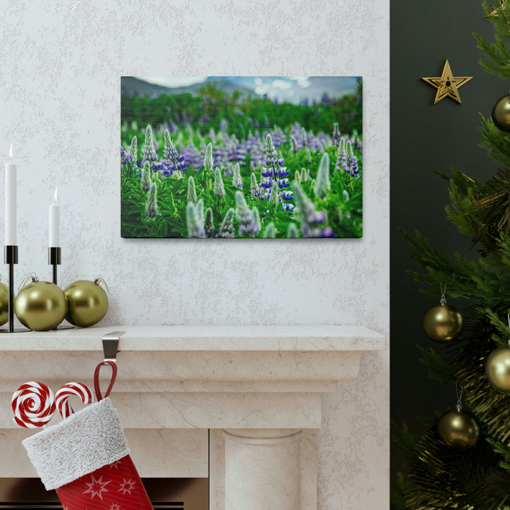 Glowing Lupin with Mountains - Canvas