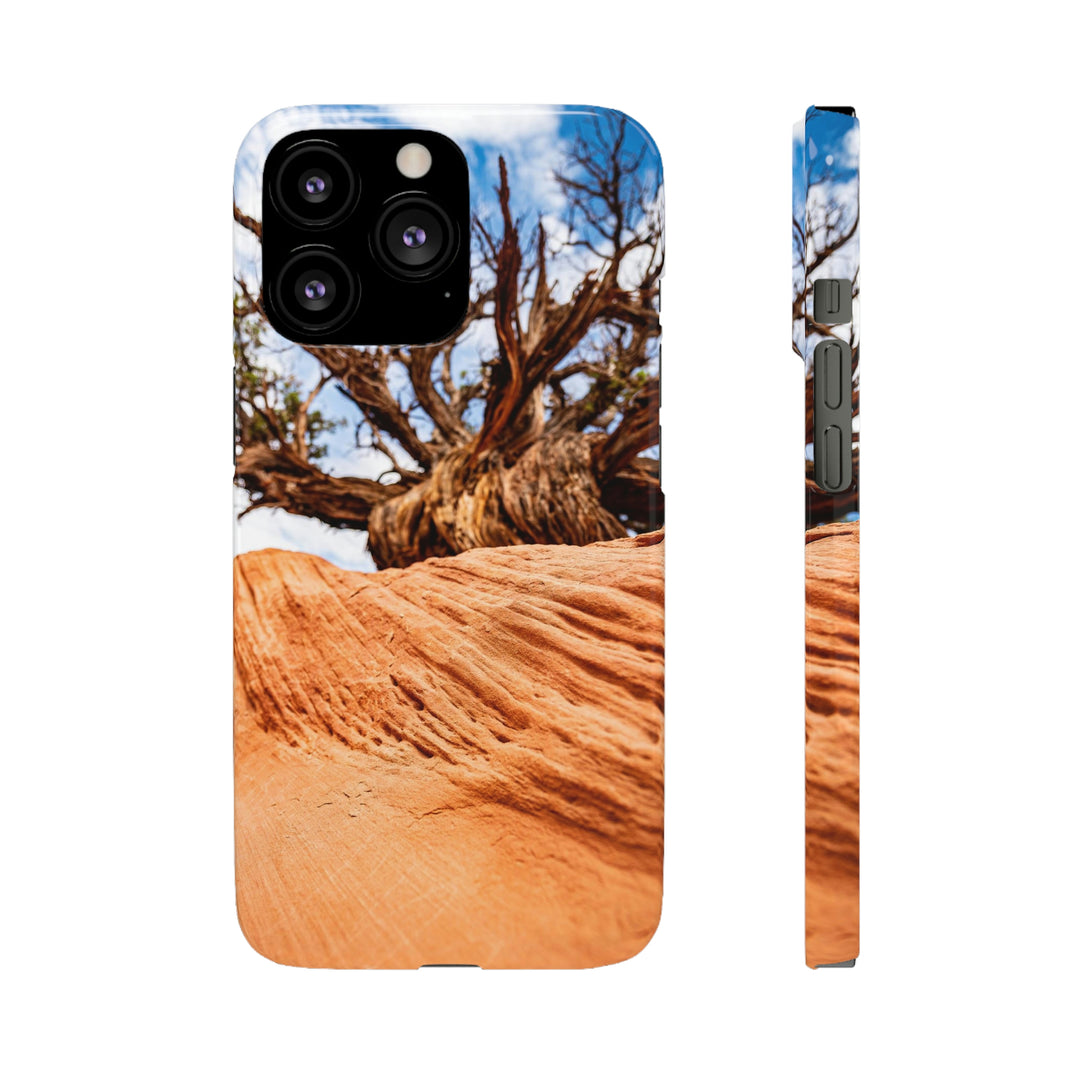 Desert Reach - Phone Case