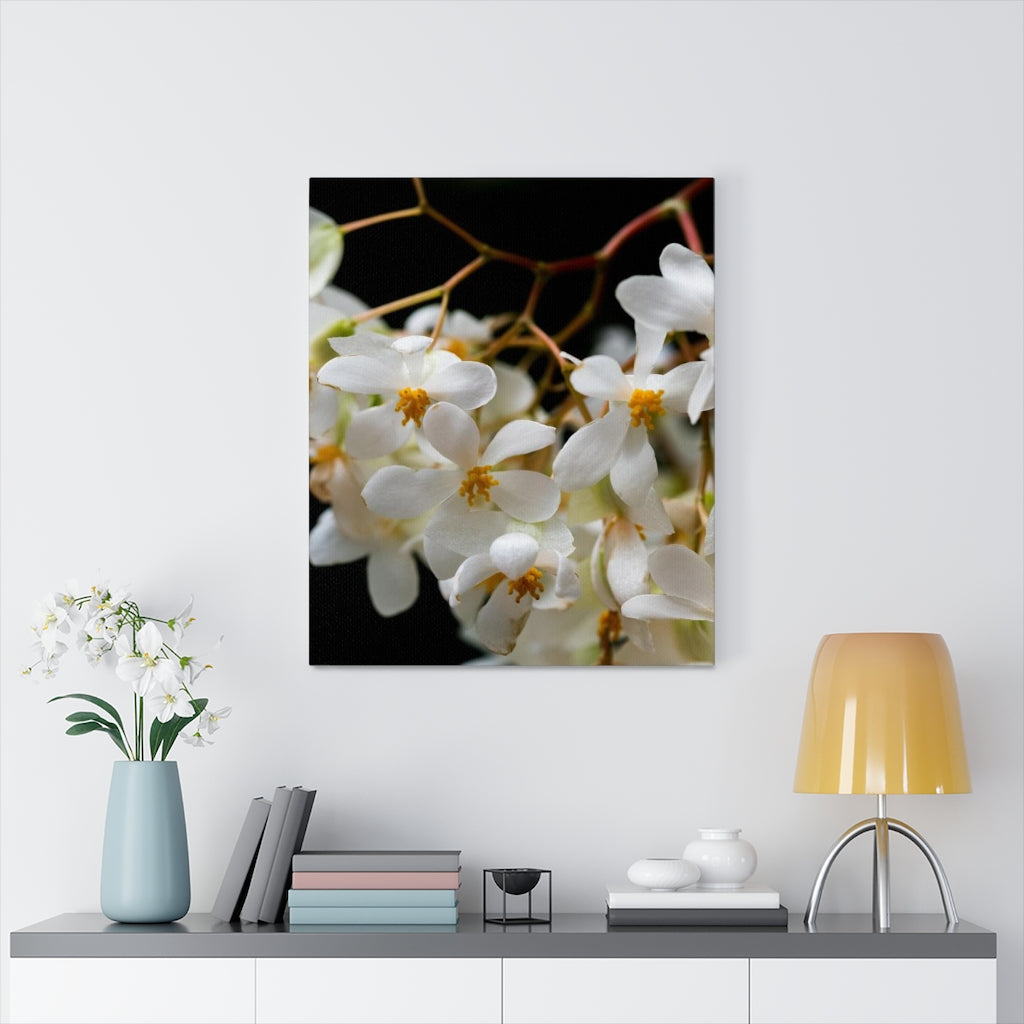 Floral Network - Canvas