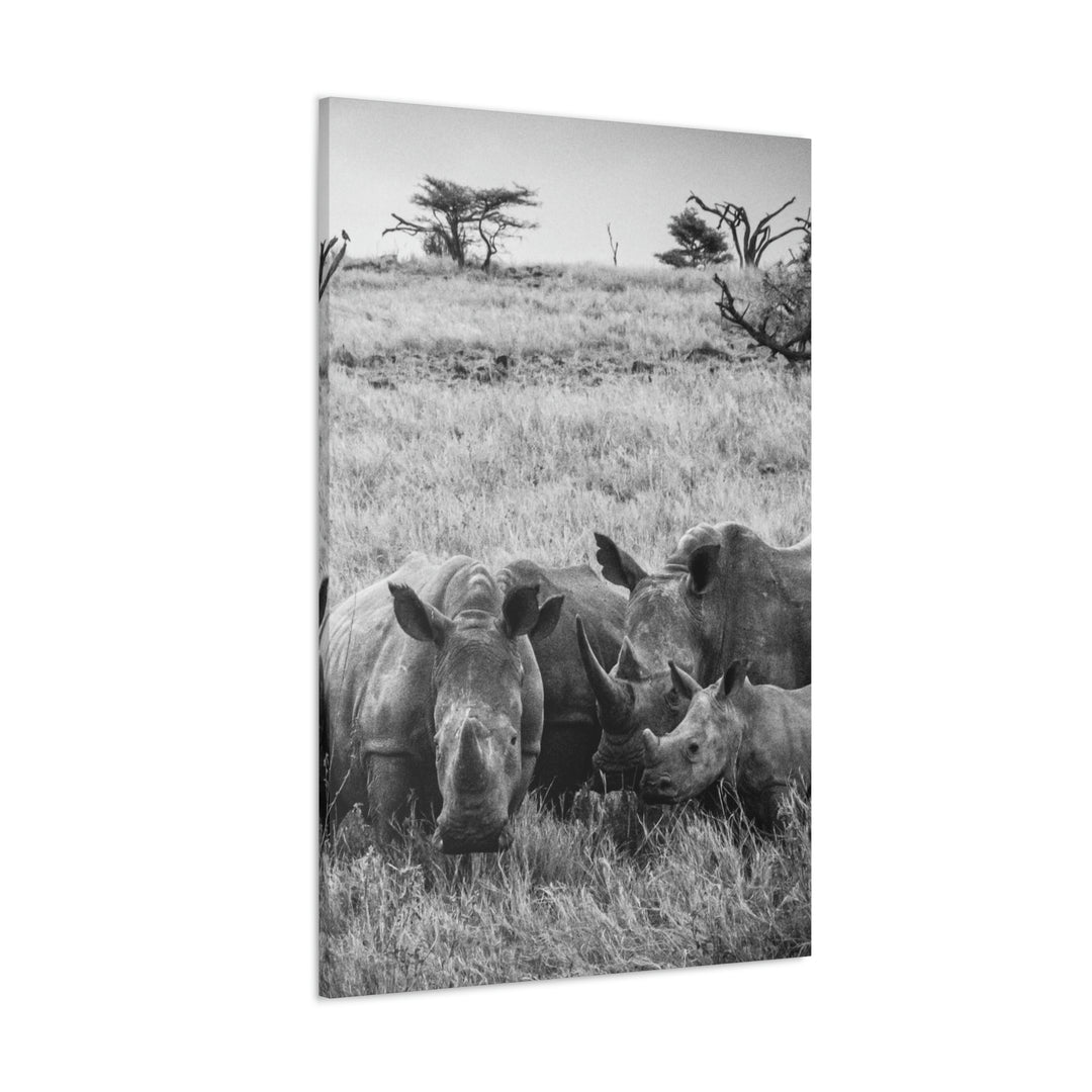 Rhino Family in Black and White - Canvas