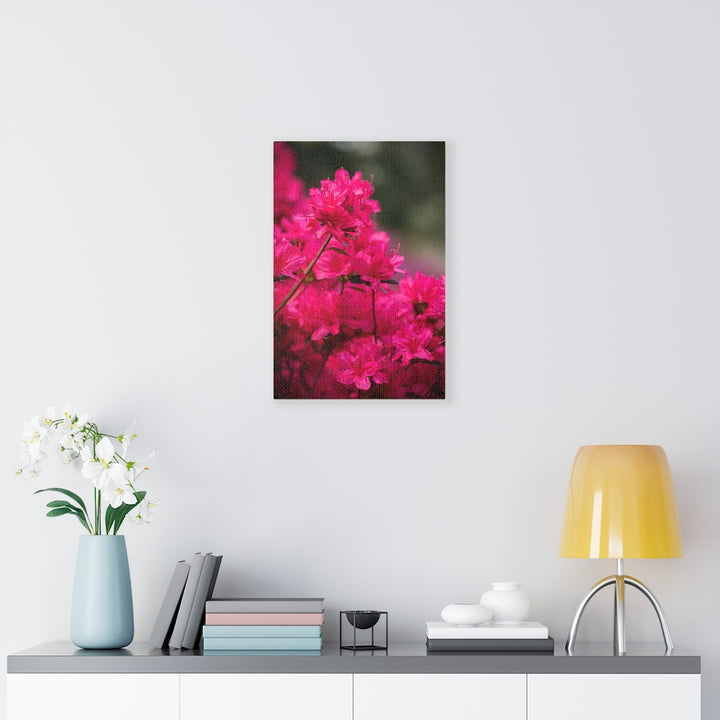 Full Bloom - Canvas