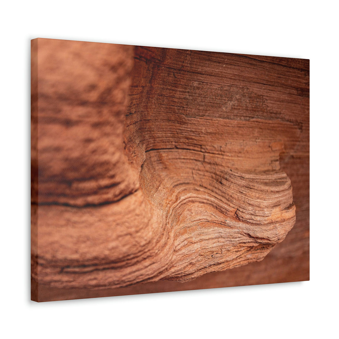 Sedimentary Rock Curves - Canvas