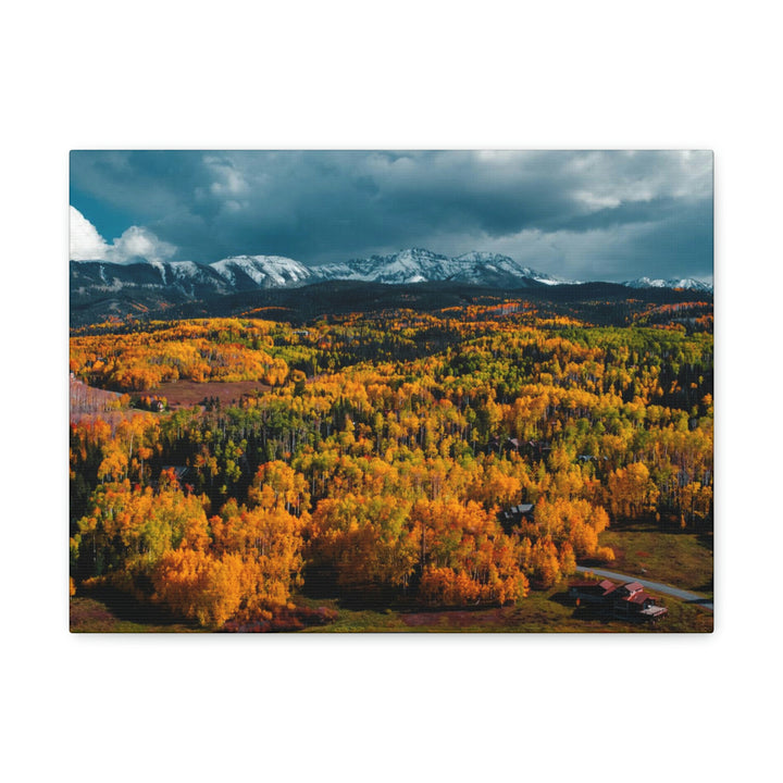 Golds of Autumn - Canvas