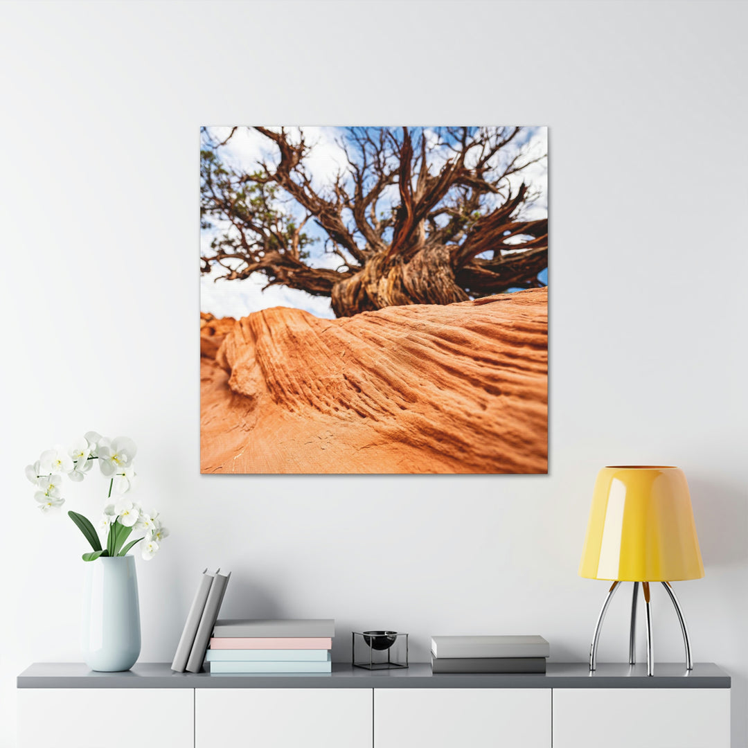 Desert Reach - Canvas