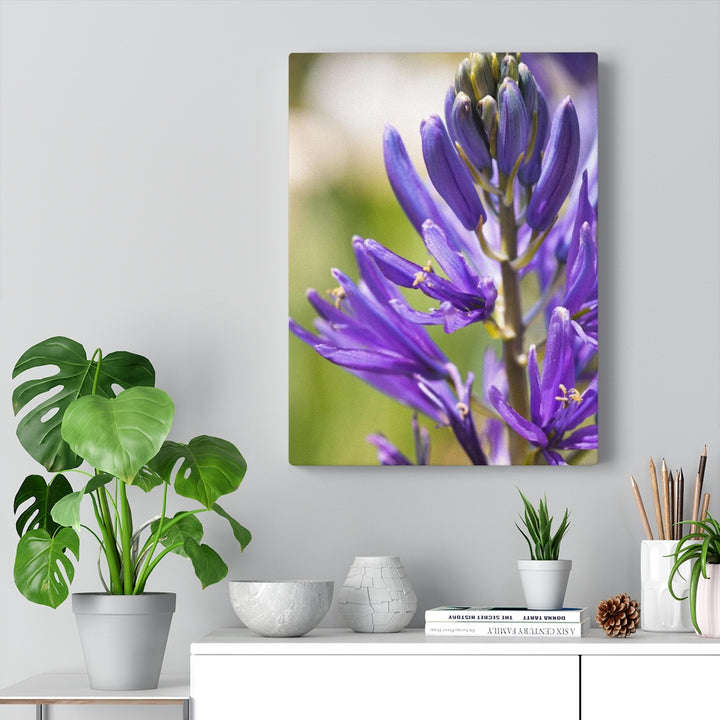 Camas in Bloom - Canvas