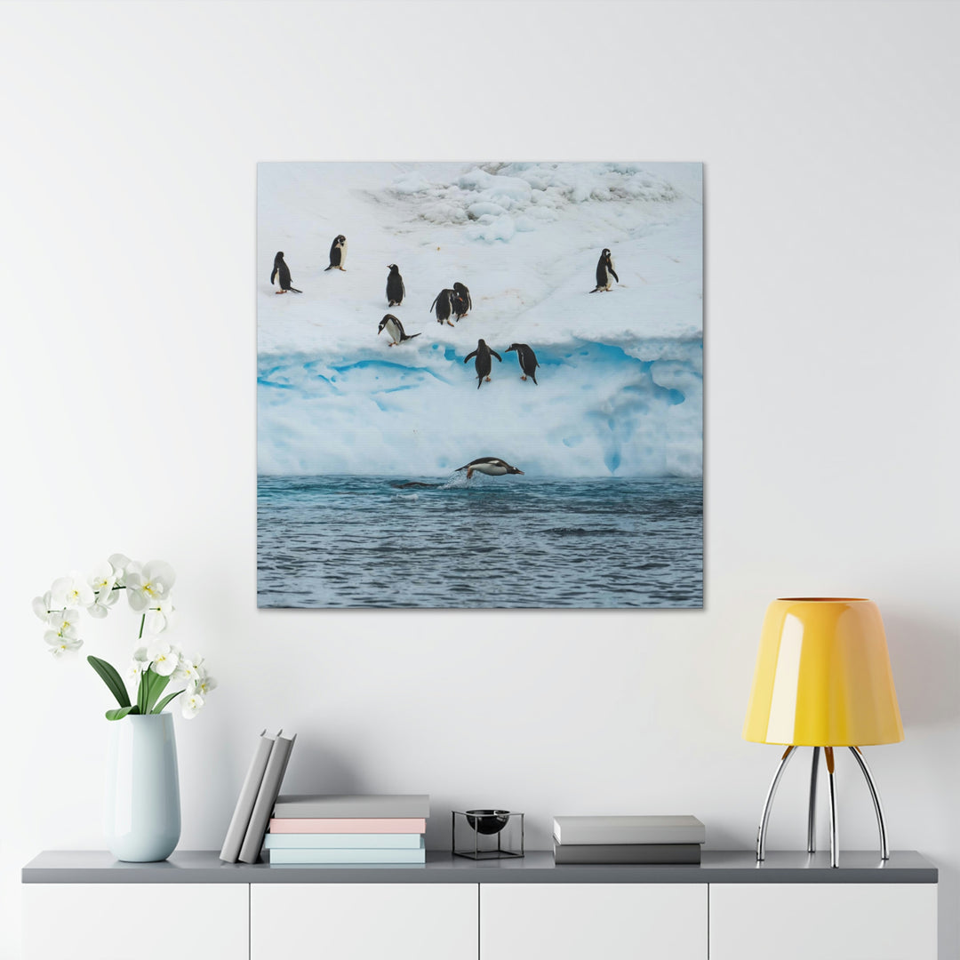 Porpoising Penguin - Canvas