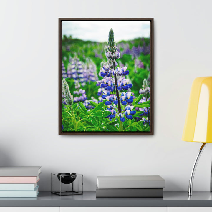 Glowing Lupin - Canvas with Frame