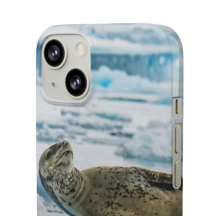 Leopard Seal Relaxing - Phone Case