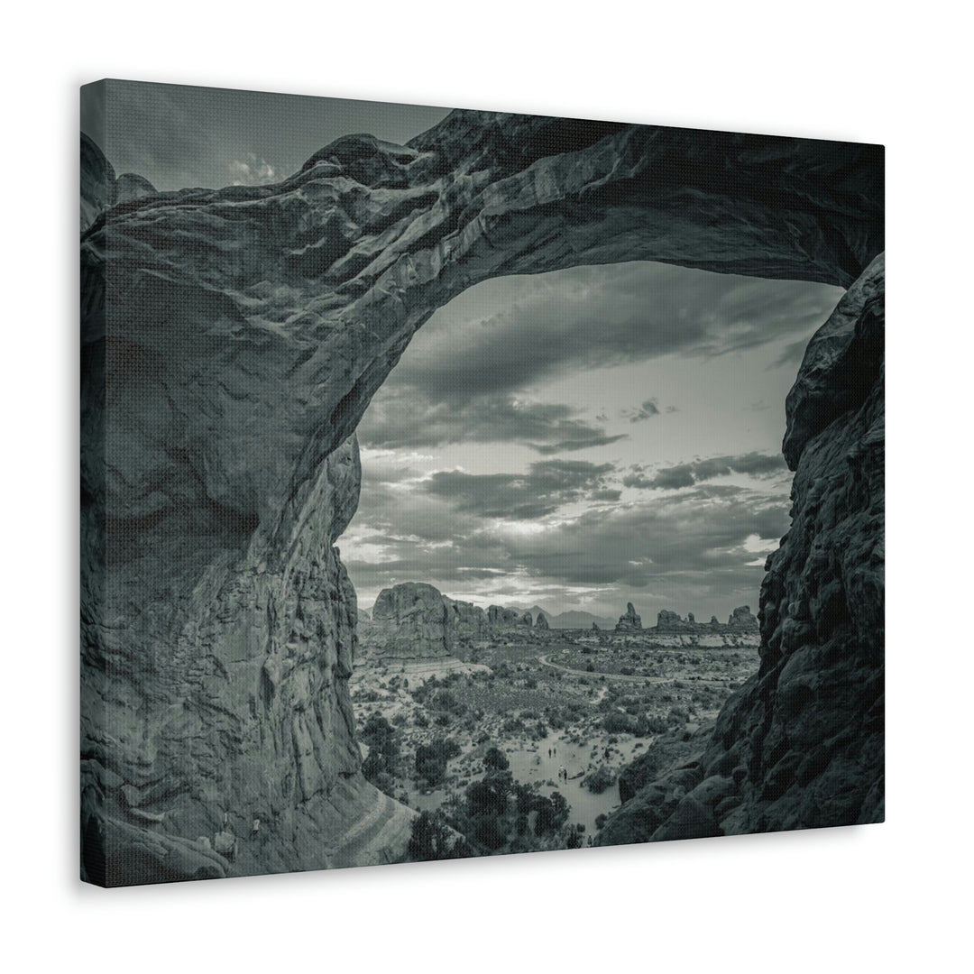 Natural Frames Part 2 in Black and White - Canvas