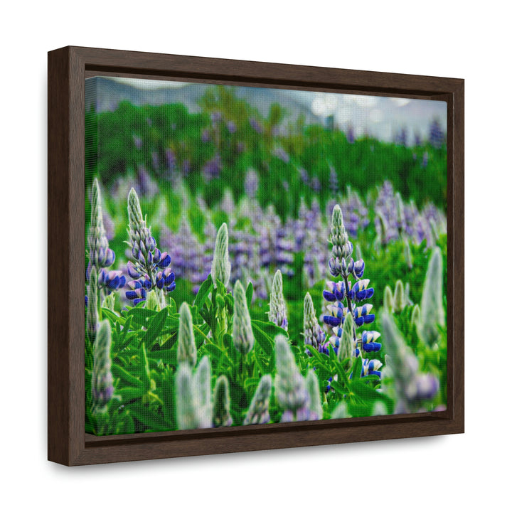 Glowing Lupin with Mountains - Canvas with Frame