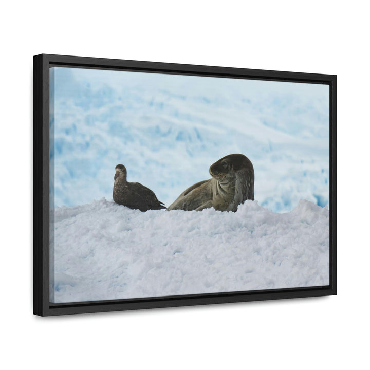 A Resting Pair - Canvas with Frame