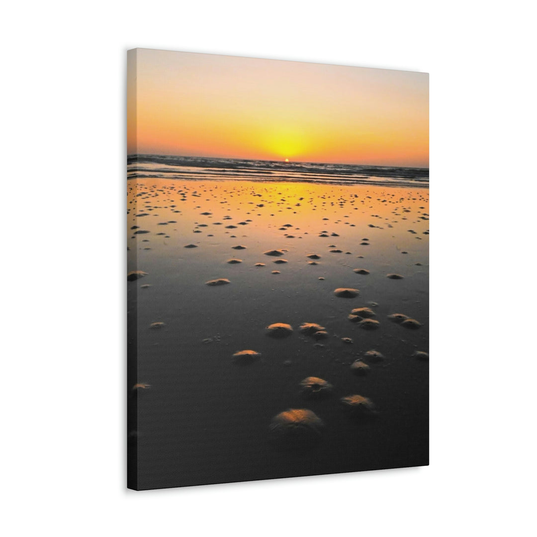 Burrows at Sunrise - Canvas