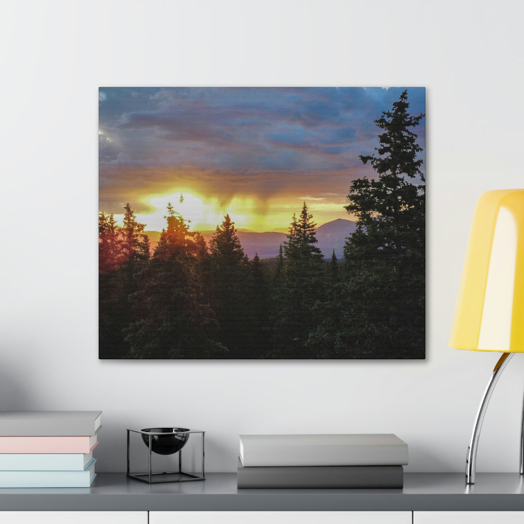 Rainy Sunset Through the Trees - Canvas