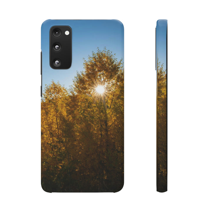 Sun Through the Aspens - Phone Case