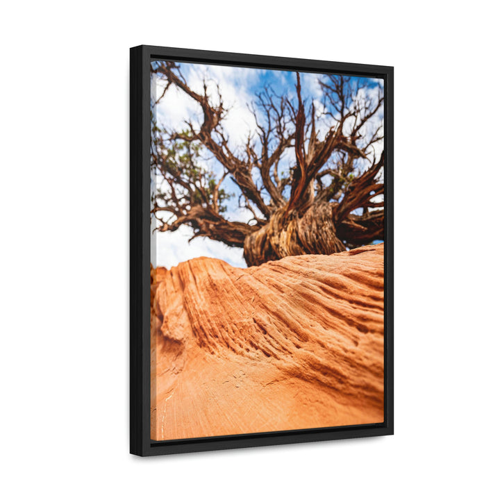 Desert Reach - Canvas with Frame