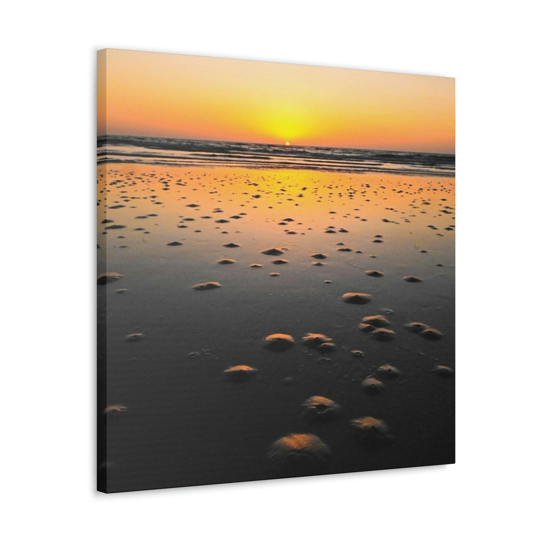 Burrows at Sunrise - Canvas