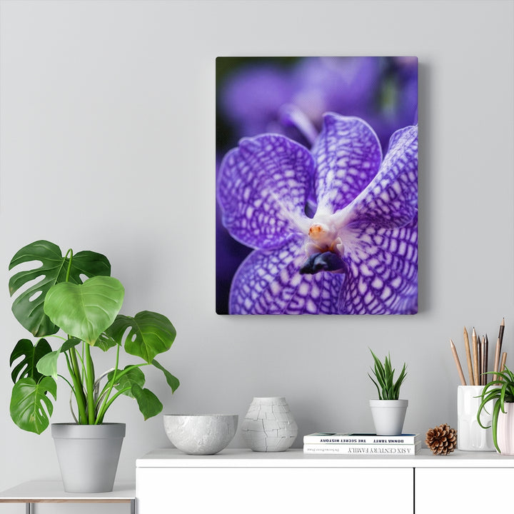 Orchid Detail - Canvas