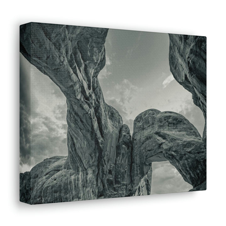 Natural Frames Part 1 in Black and White - Canvas