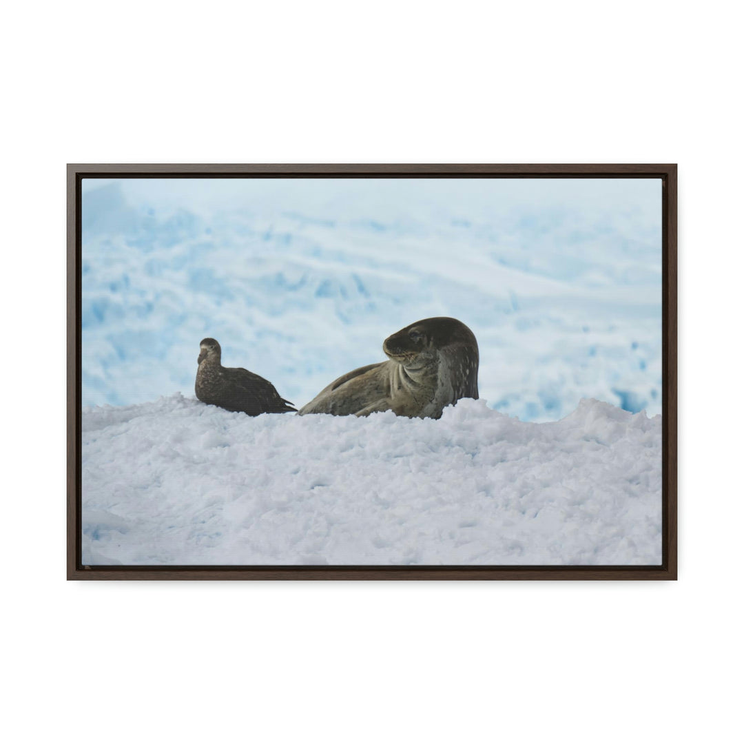 A Resting Pair - Canvas with Frame