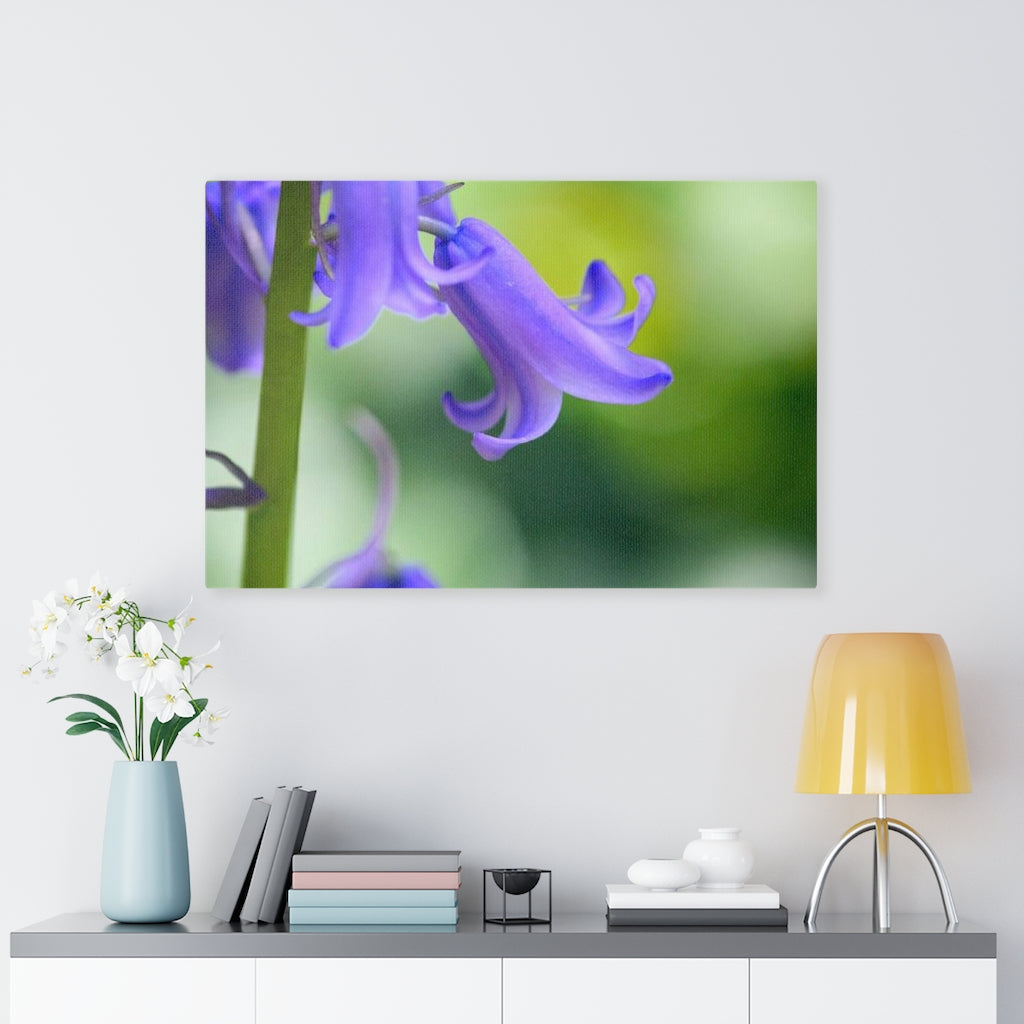 Delicate Bell - Canvas