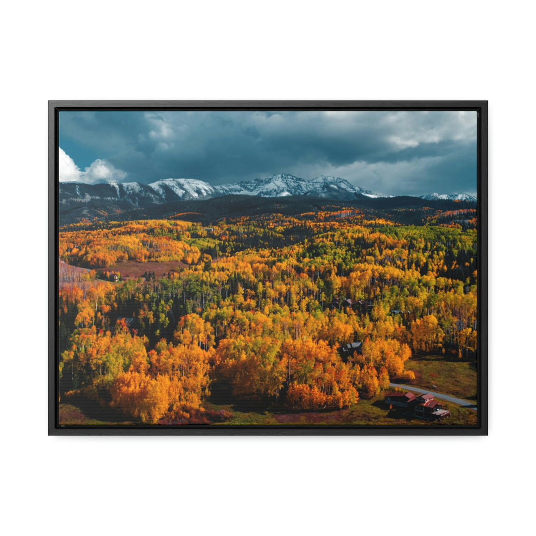 Golds of Autumn - Canvas with Frame