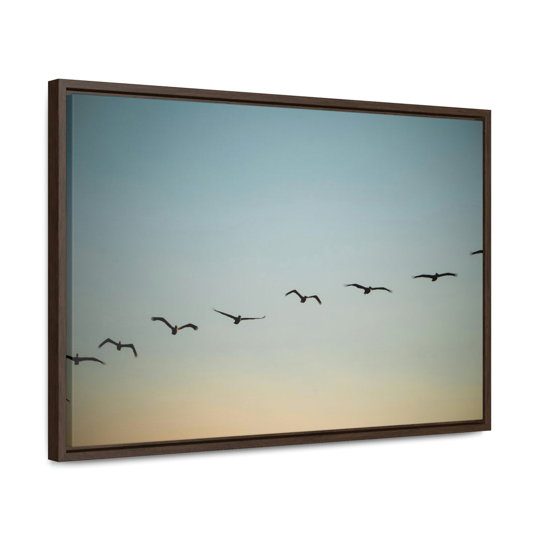 Brown Pelicans in Flight - Canvas with Frame