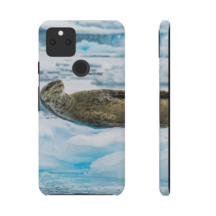 Leopard Seal Relaxing - Phone Case