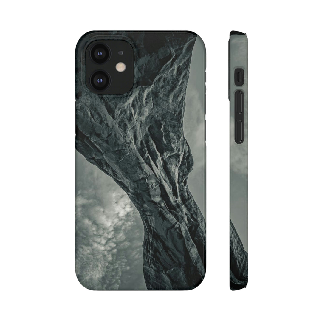 Natural Frames Part 3 in Black and White - Phone Case