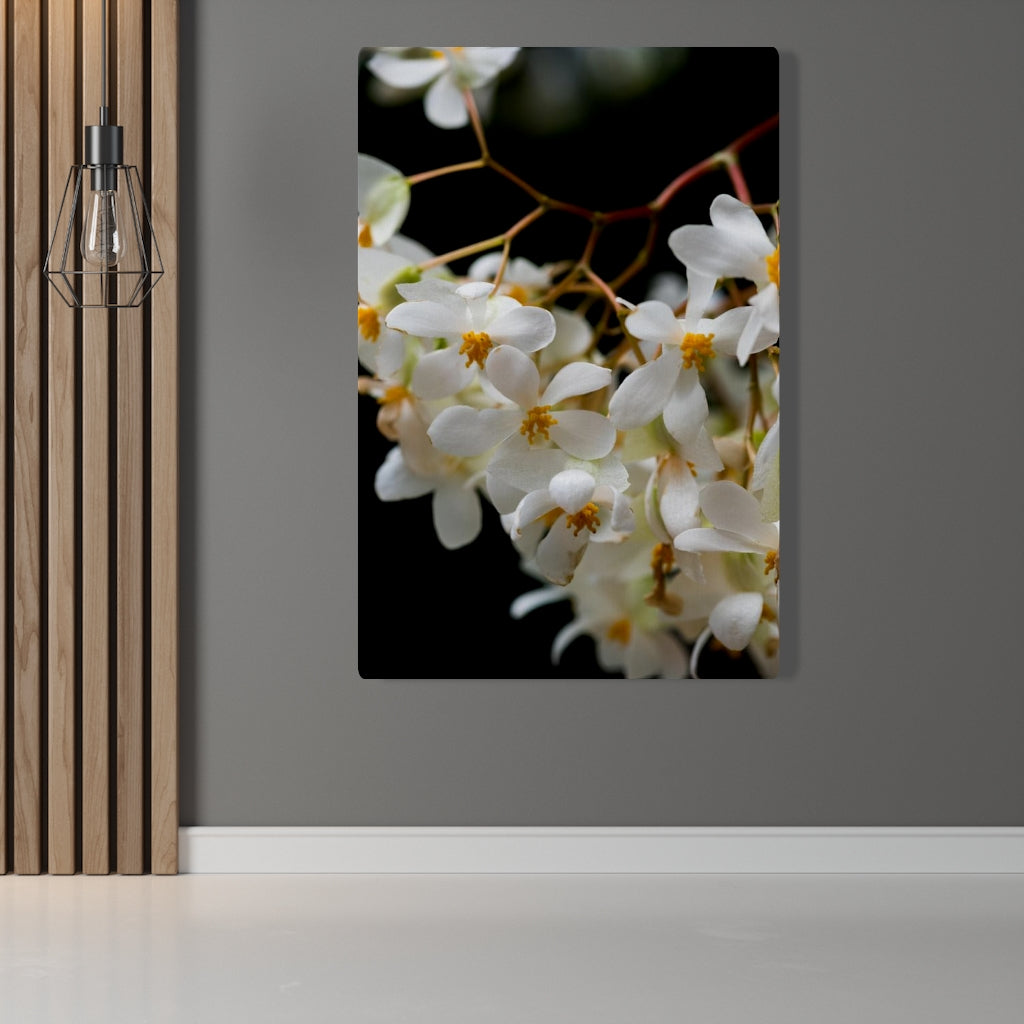 Floral Network - Canvas