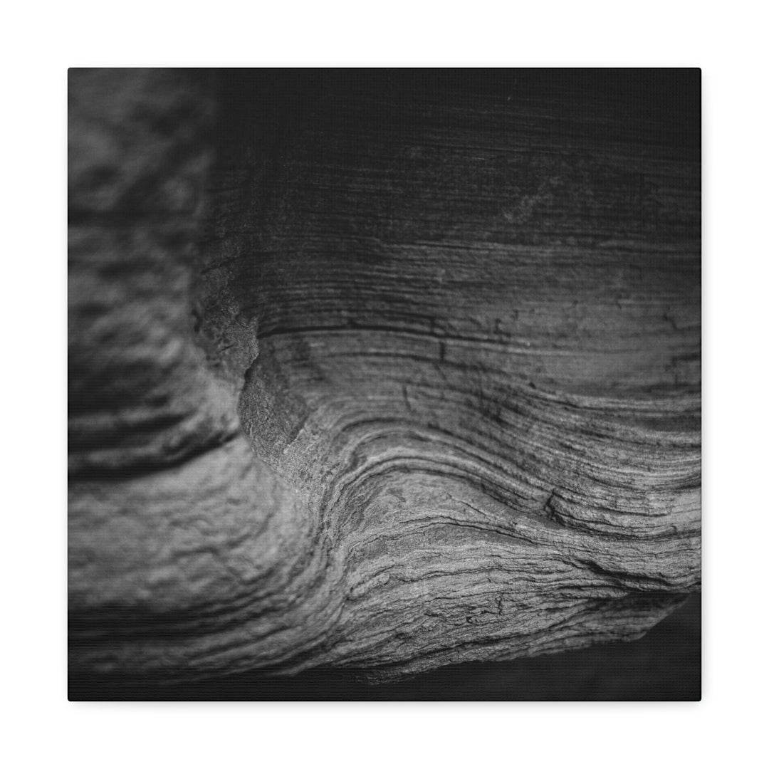 Sedimentary Rock Curves in Black and White - Canvas