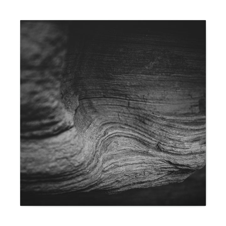 Sedimentary Rock Curves in Black and White - Canvas