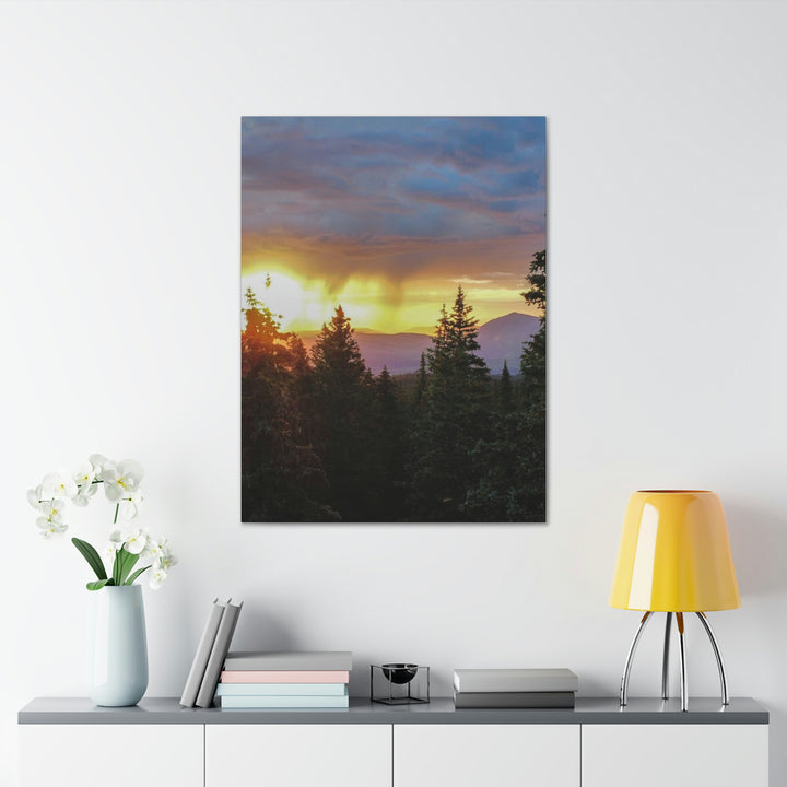 Rainy Sunset Through the Trees - Canvas