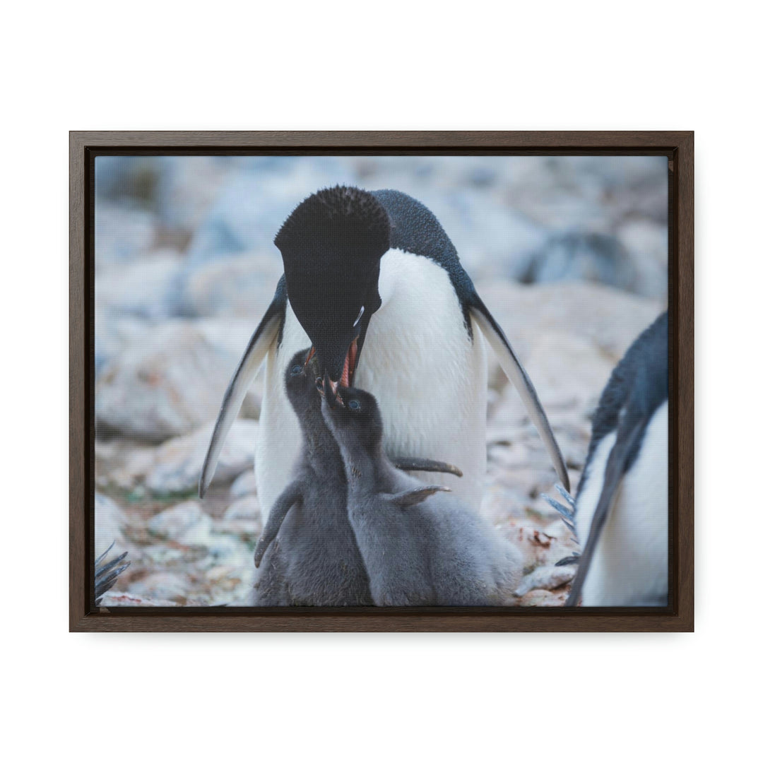 Feeding Time - Canvas with Frame